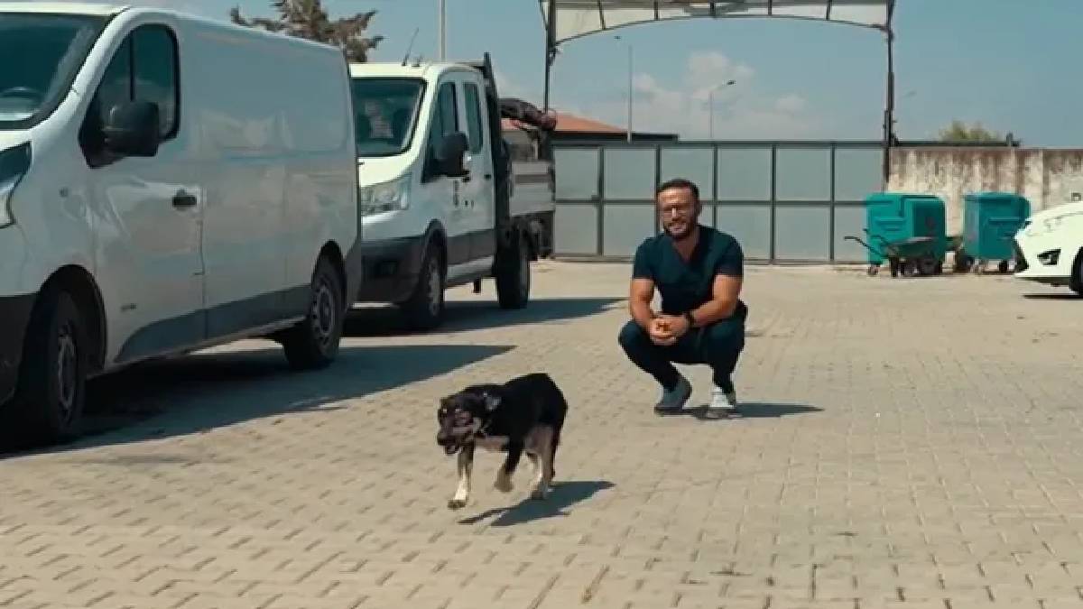 Öldü sanılan köpek hayata tutundu