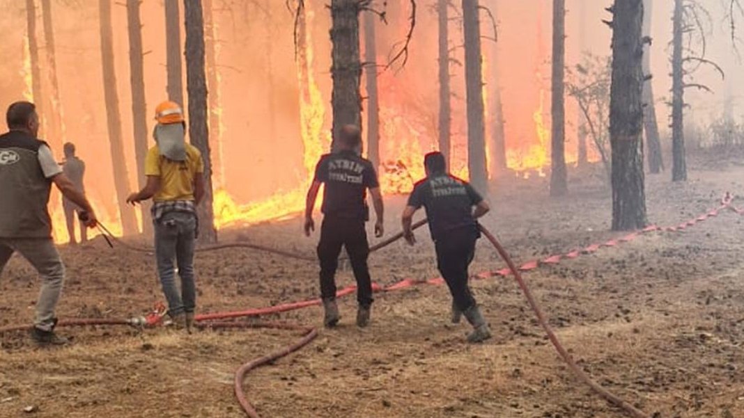 Aydın'da orman yangını: Havadan ve karadan müdahale ediliyor