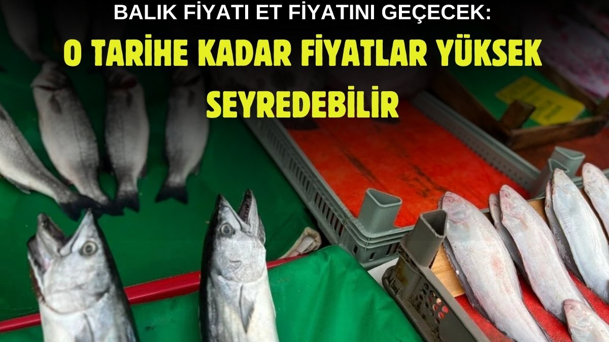 Türkiye'de balık bolluğu bitiyor! Boyutları küçücük kaldı: Böyle giderse kırmızı etten pahalıya satılacak