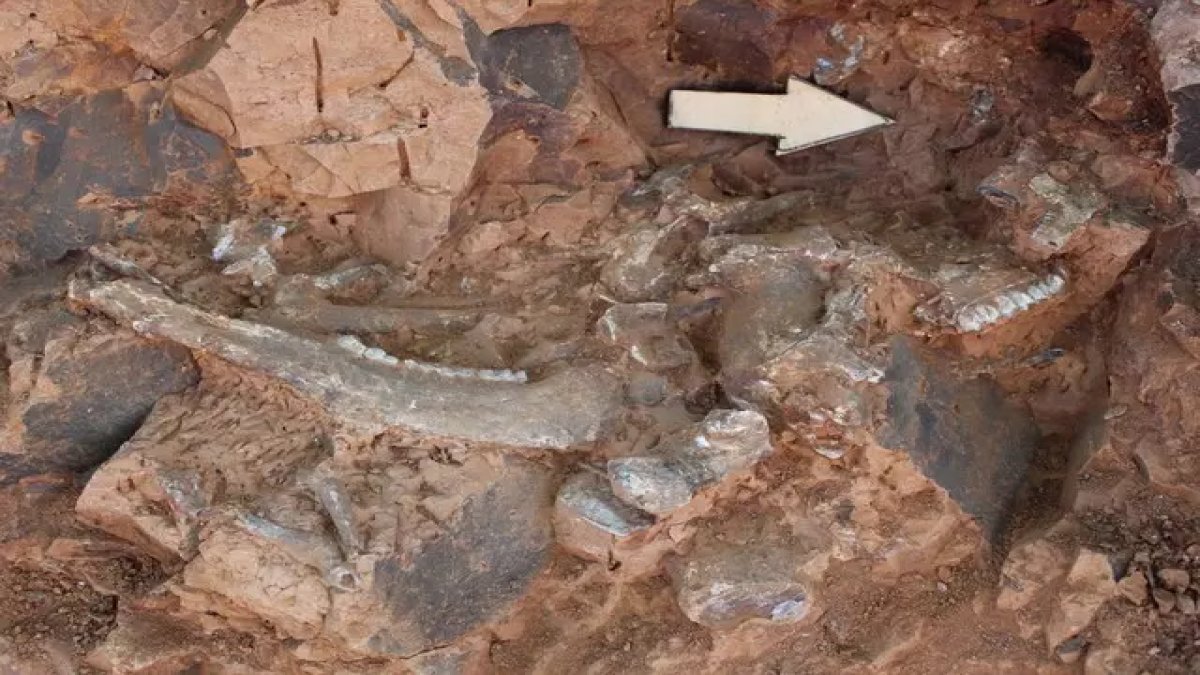 Anadolu'daki ilk örnek! Hatta dünyadaki tek örneği olabilir, o ilimizdeki keşif tarihi yeniden yazdıracak