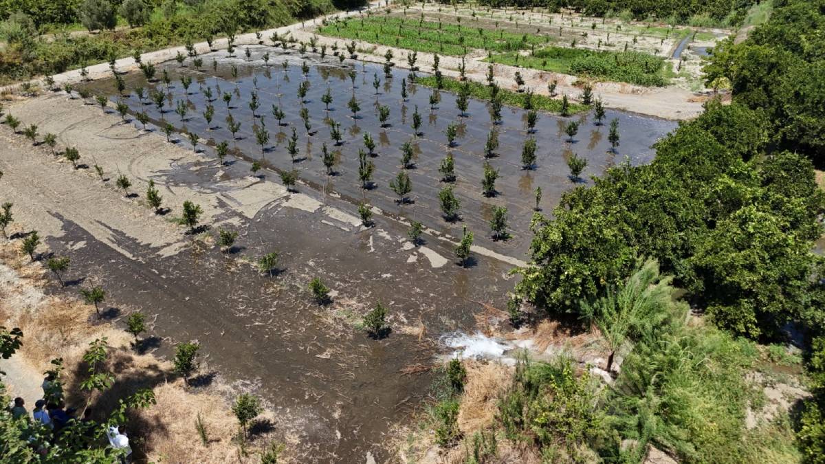 Büyükşehir tarımsal sulamada üreticinin yanında