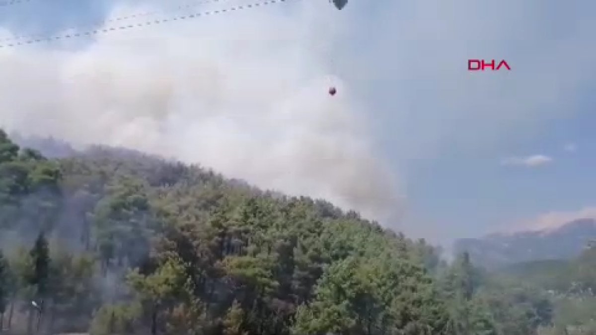 Antalya'da orman yangını