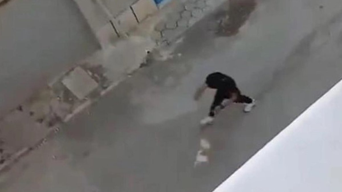 Sokak ortasında köpeğe şiddet kamerada!