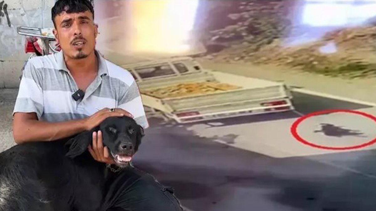Kamyonete bağlanan köpeği sürüklemişti! İfadesi ortaya çıktı