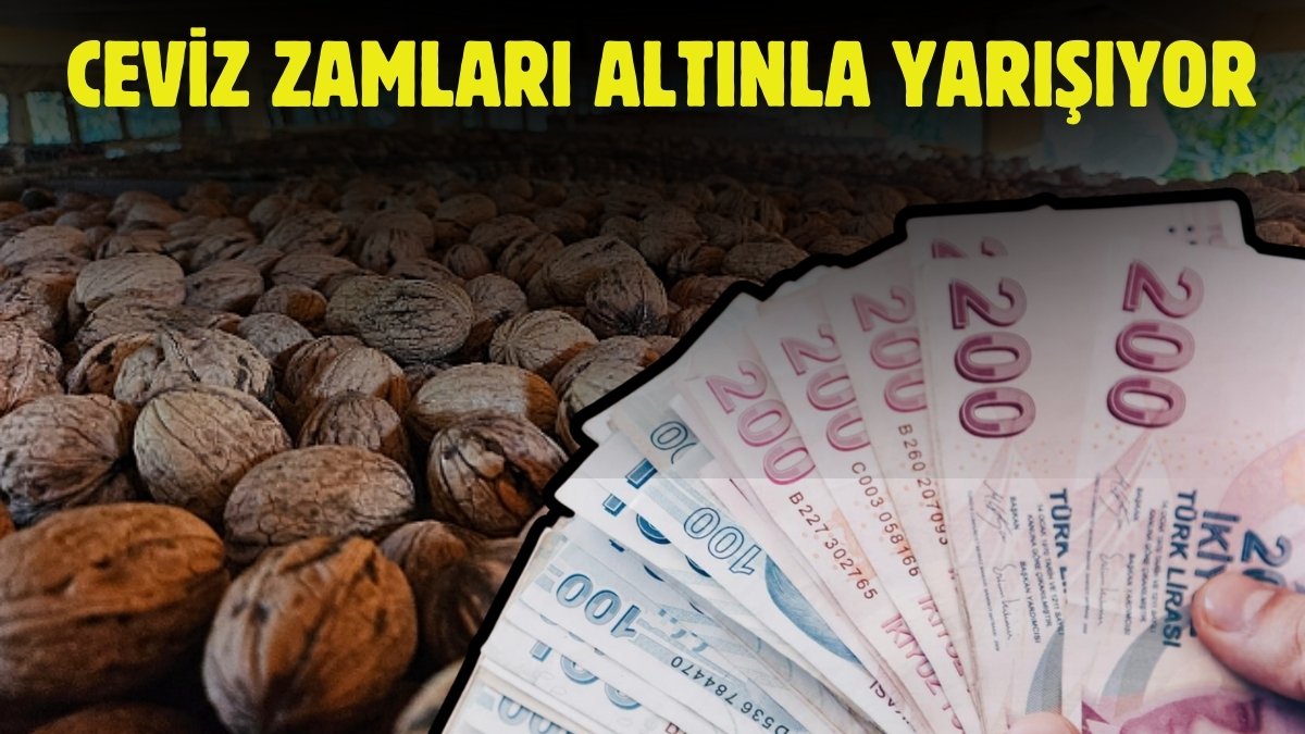 Serbest piyasada ceviz fiyatları uçtu! Hızına altın bile yetişemiyor: Ceviz fiyatları il il açıklandı