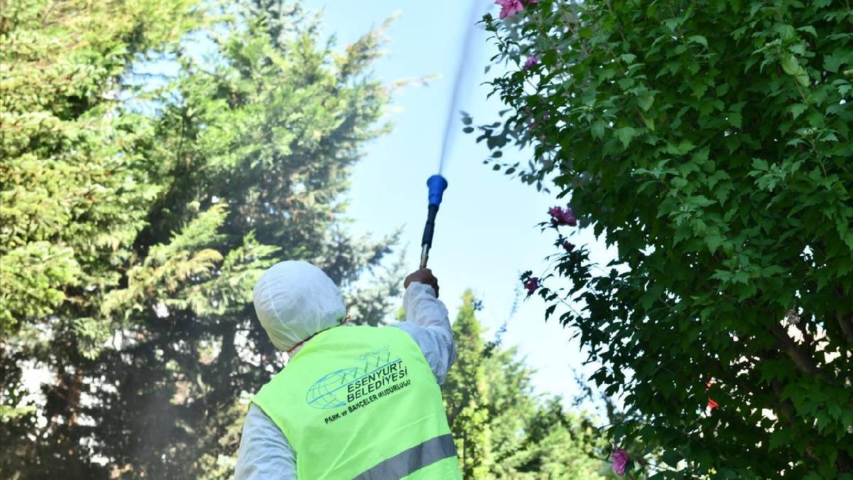 Esenyurt Belediyesi Teke Böceği ile mücadeleyi sürdürüyor