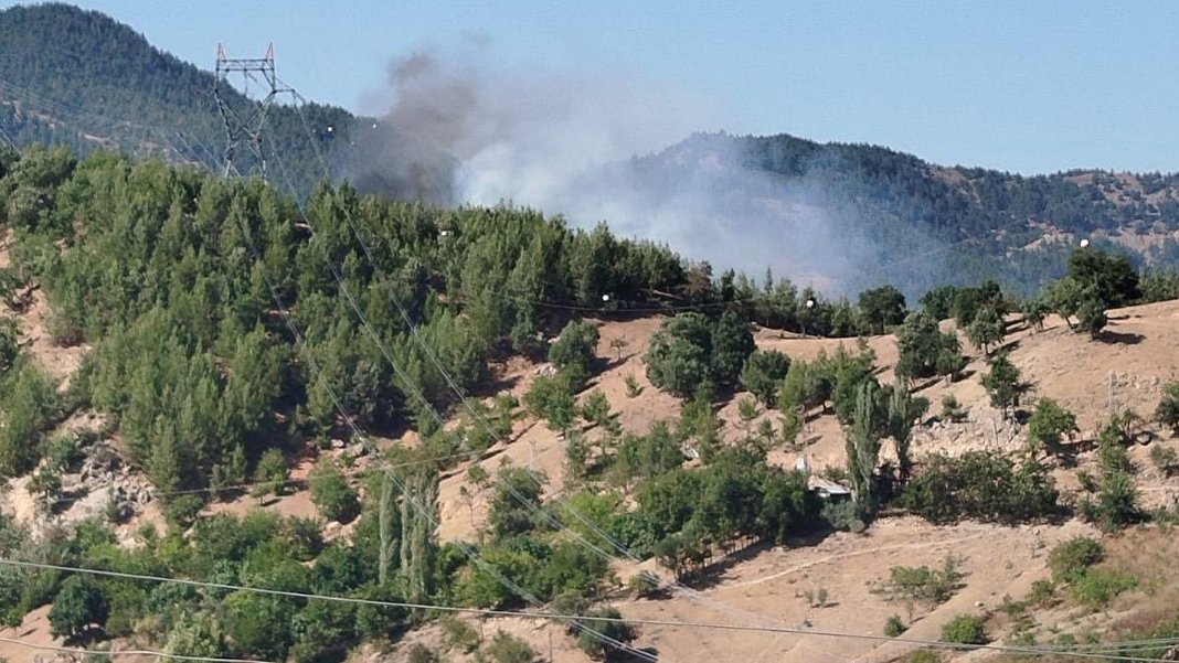 Adana'da yangın söndürme helikopteri düştü