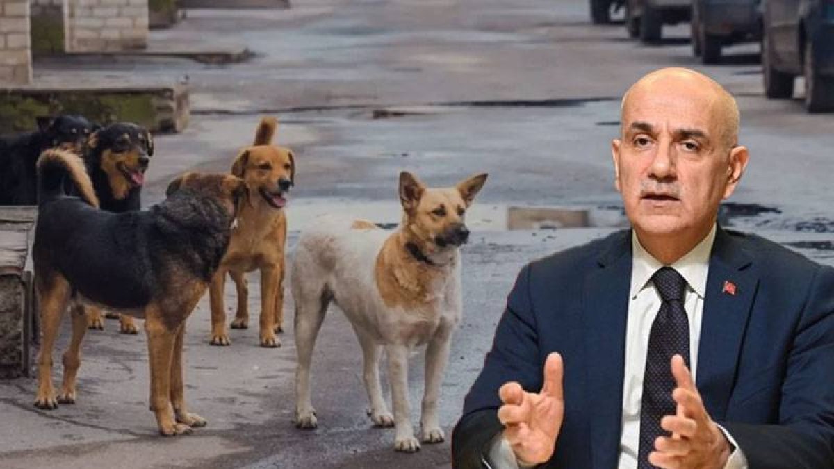 AK Partili Kirişçi: Haniye'nin suikastini kınamayanlar hayvan sevgisinden bahsetmesin