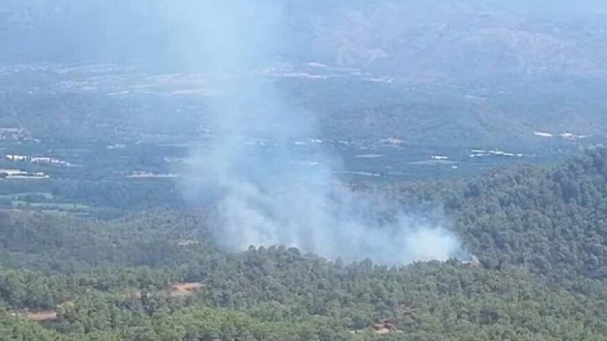 Muğla'da orman yangını