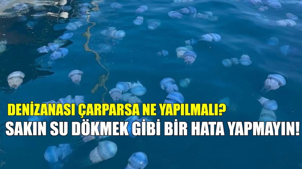 Denizanası çarpması sonrası ne yapılır? Bu bilgi hayat kurtarıyor: Sakın su dökmeyin!