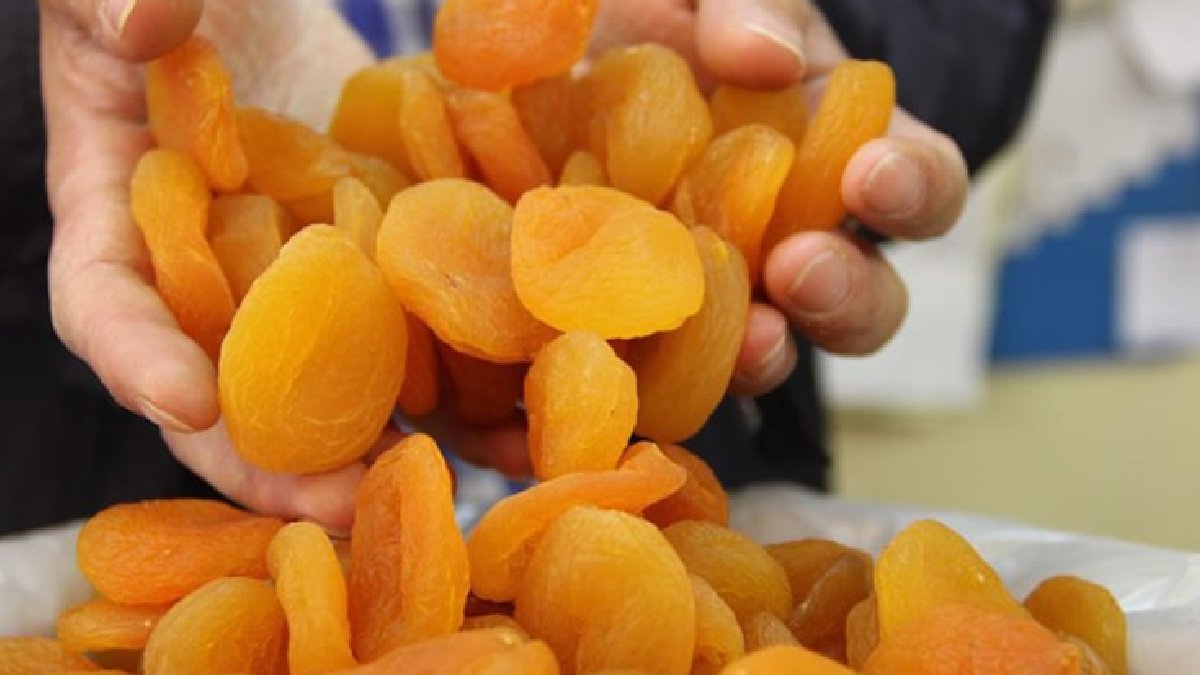 CHP'den kayısı üreticilerine destek çağrısı: Her şeye zam geldi kayısı fiyatları düştü