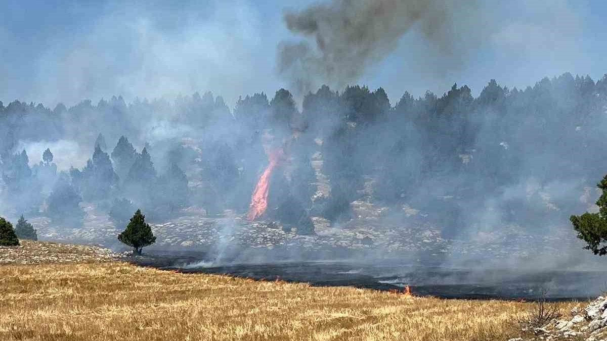 Adana'da anız yangını ormana sıçradı