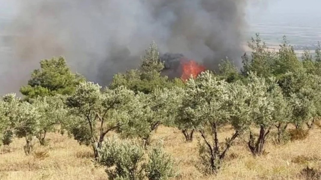 Hatay’da orman yangını: Müdahale ediliyor