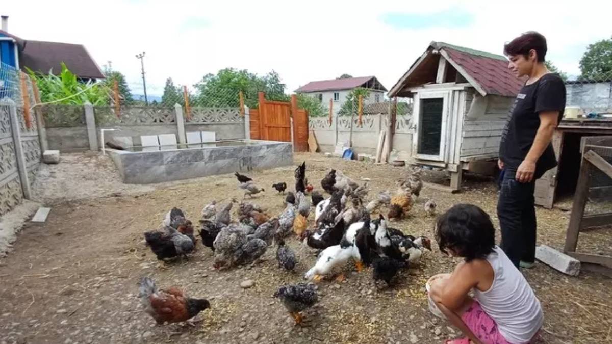 İstanbul'da masa başı işini bırakıp köye yerleşti, hayatı değişti! Para derdi kalmadı