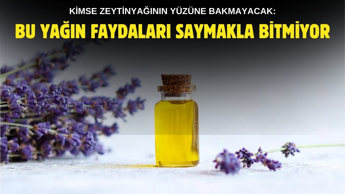 Ayçiçek ve zeytinyağının yerini alacak! Değerini anlayan dönüm dönüm ekiyor: Faydası inanılmaz