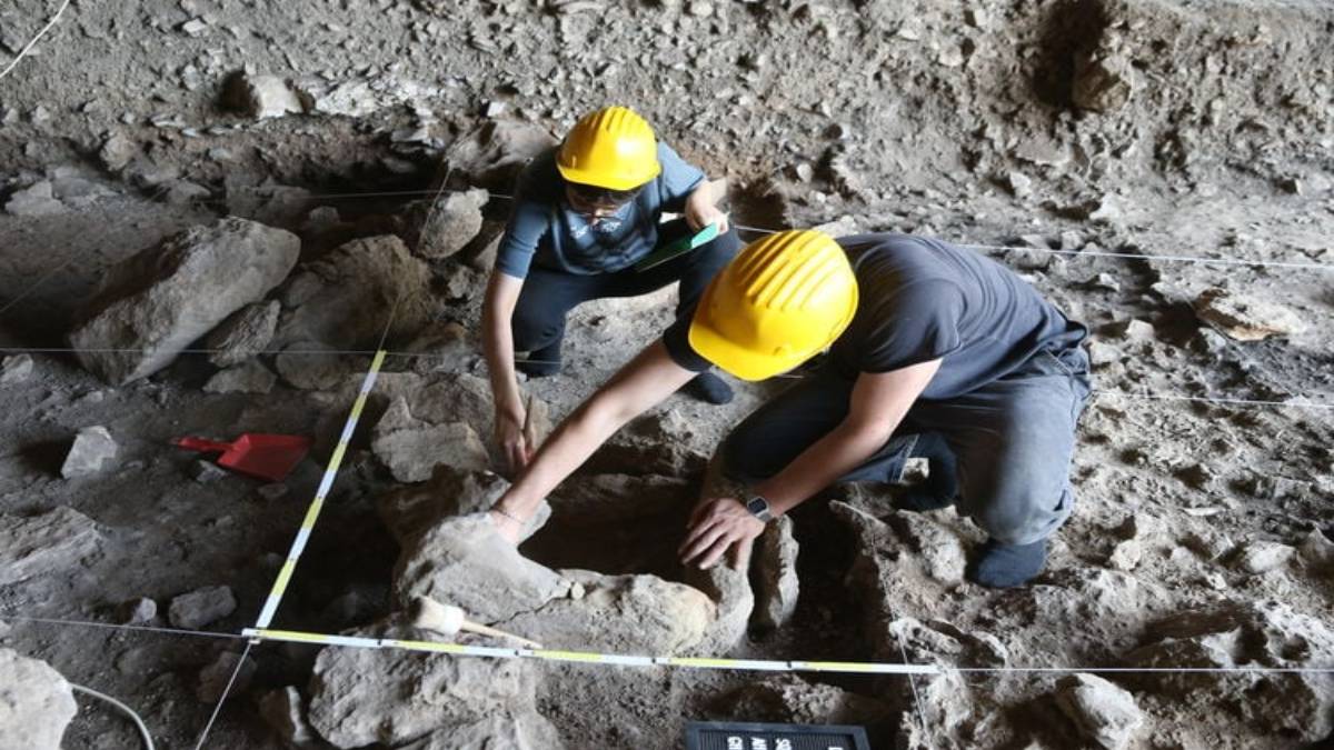 Göbeklitepe'de inanılmaz keşif! Arkeologlar milim milim kazarak çıkardı: 14 Bin 500 yıllık olduğu düşünülüyor