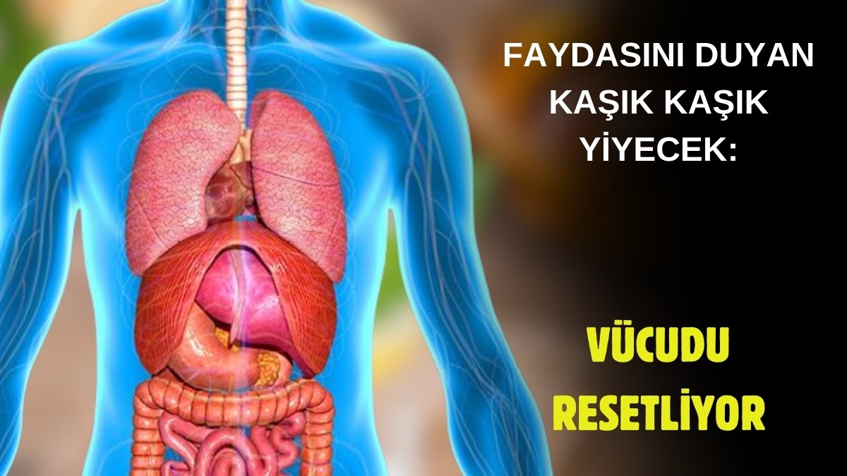 Vücudu tamir ediyor, enfeksiyonu kurutuyor! Kaşık kaşık yiyen doktor yüzü görmüyor, sadece bu ikisini karıştırın