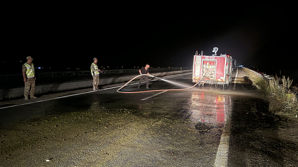 Ağrı'daki trafik kazasında 3 kişi yaralandı 55 koyun öldü