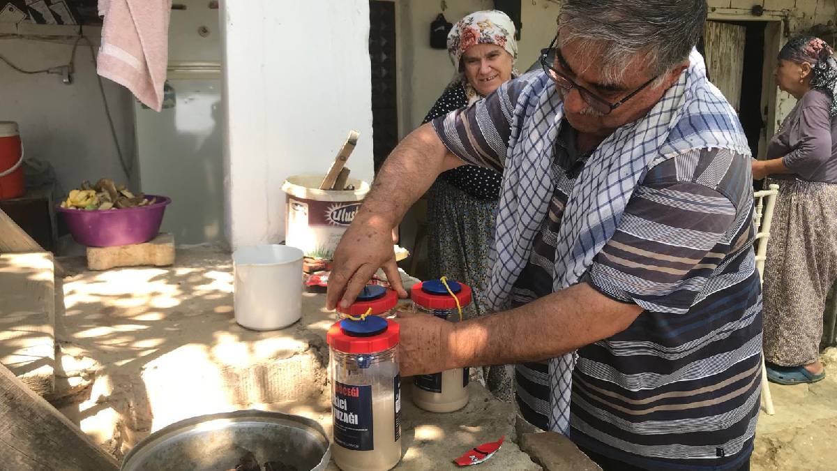 İncirde ekşilik böceği ile doğal mücadele