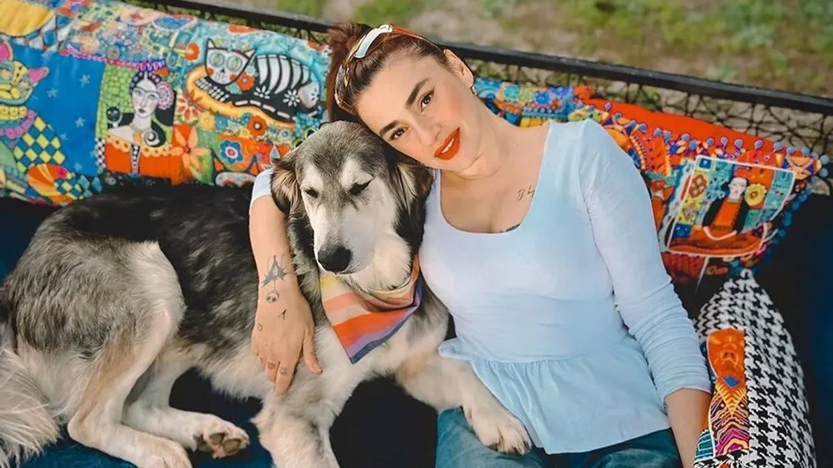 Ceylan Ertem'den "sokak hayvanları" paylaşımı: Yaklaşanı yakarız!