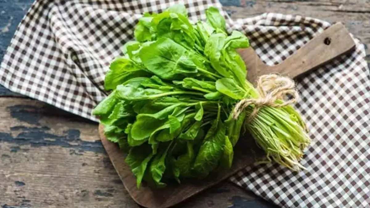 Sigara içenler 5 gün boyunca tere suyu içince sonuca inanamayacak! Ünlü doktor Saraçoğlu önerdi