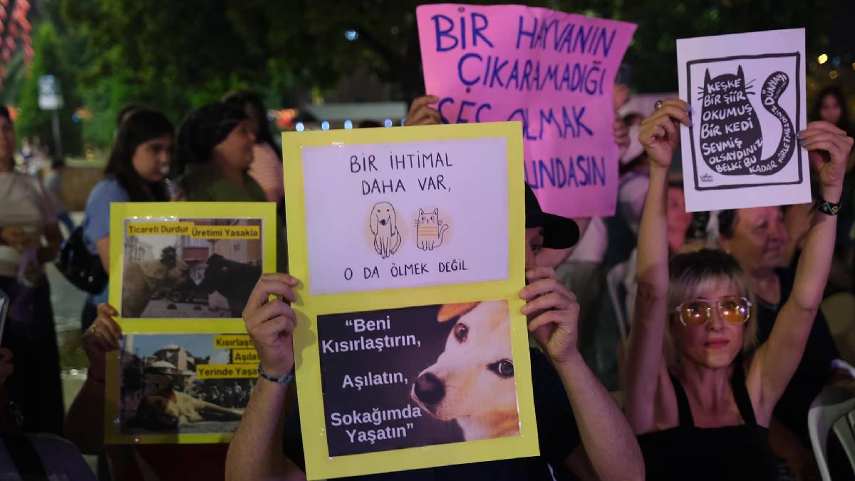 Başkan Köse, hayvanseverlerin Sesini Giresun’dan Türkiye’ye duyurdu!