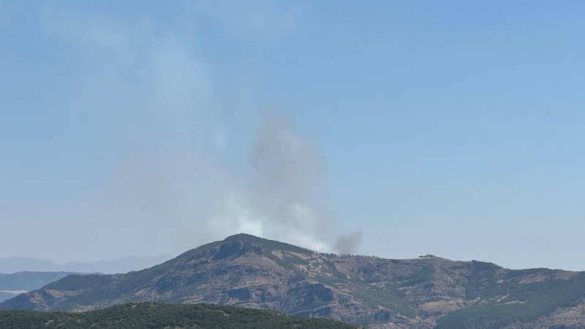 Tunceli'de orman yangını