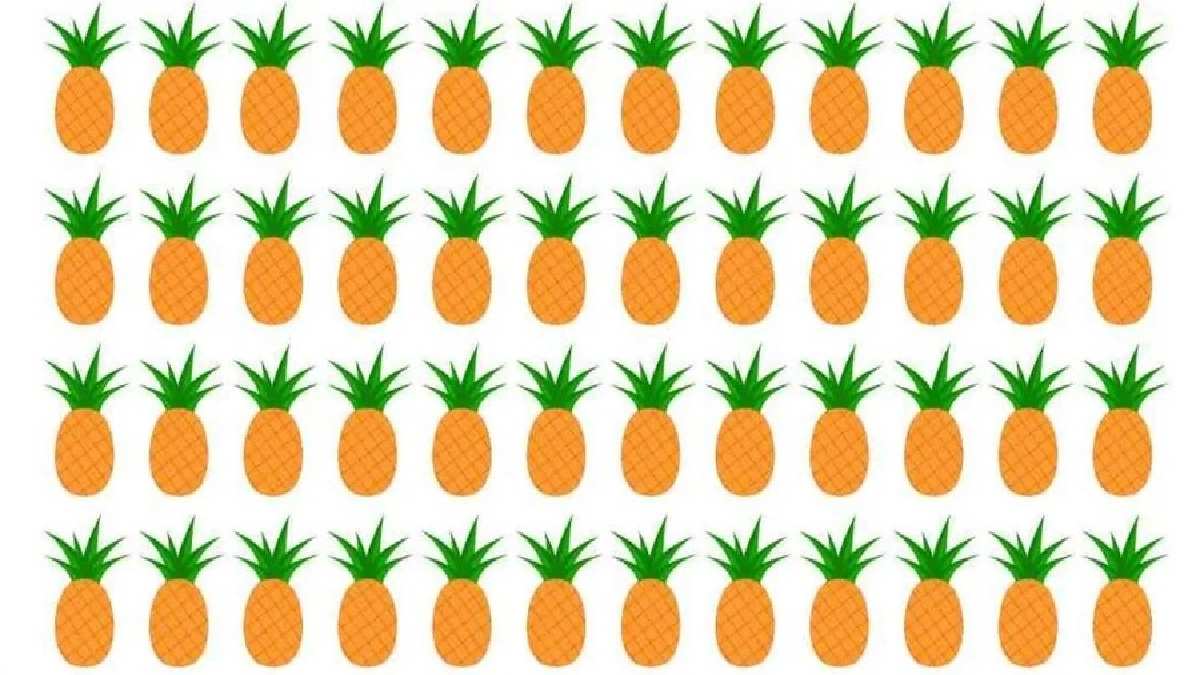 Keskin nişancılar bile göremedi! 6 saniyede farklı ananası bul! Einstein’e rakip olduğunu kanıtla