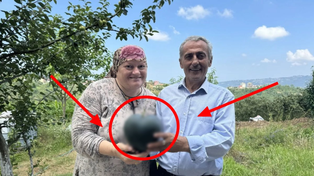 Elini neye atsa kuruyordu! Talihsiz Temel'in yüzünü güldüren meyve, hasat başlamadan sipariş yağdı