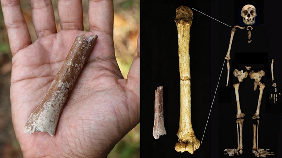 Hobbitlerin sırrı çözüldü! Efsane değil gerçek