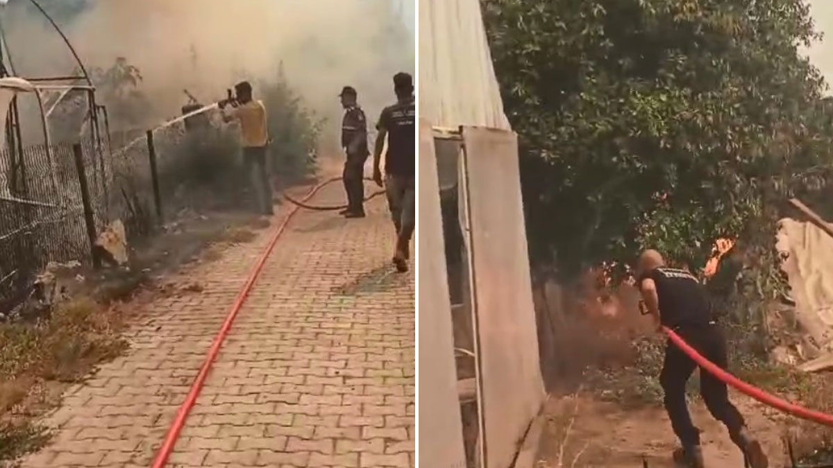 Aydın’daki yangın yerleşim yerlerine sıçradı