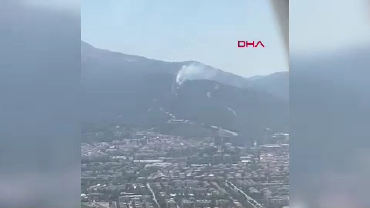 Manisa'da orman yangını