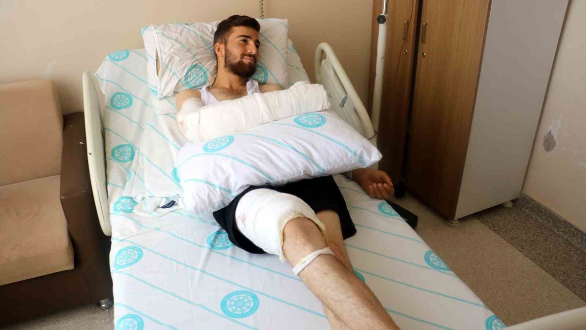 Su içerken dünyanın en zehirli yılanı ısırdı: Kolu boydan boya açılıp ameliyat edildi