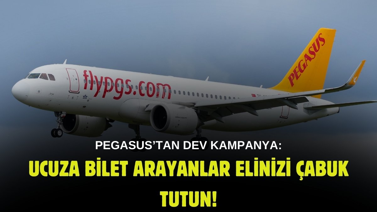 Otobüs bileti gibi satacak! Pegasus'tan dev ucuz bilet kampanyası: Son tarih belli oldu