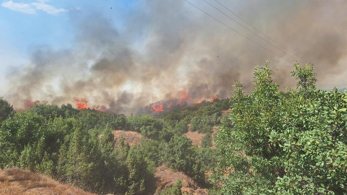 Bingöl'de orman yangını: Alevler yerleşim alanlarına sıçradı