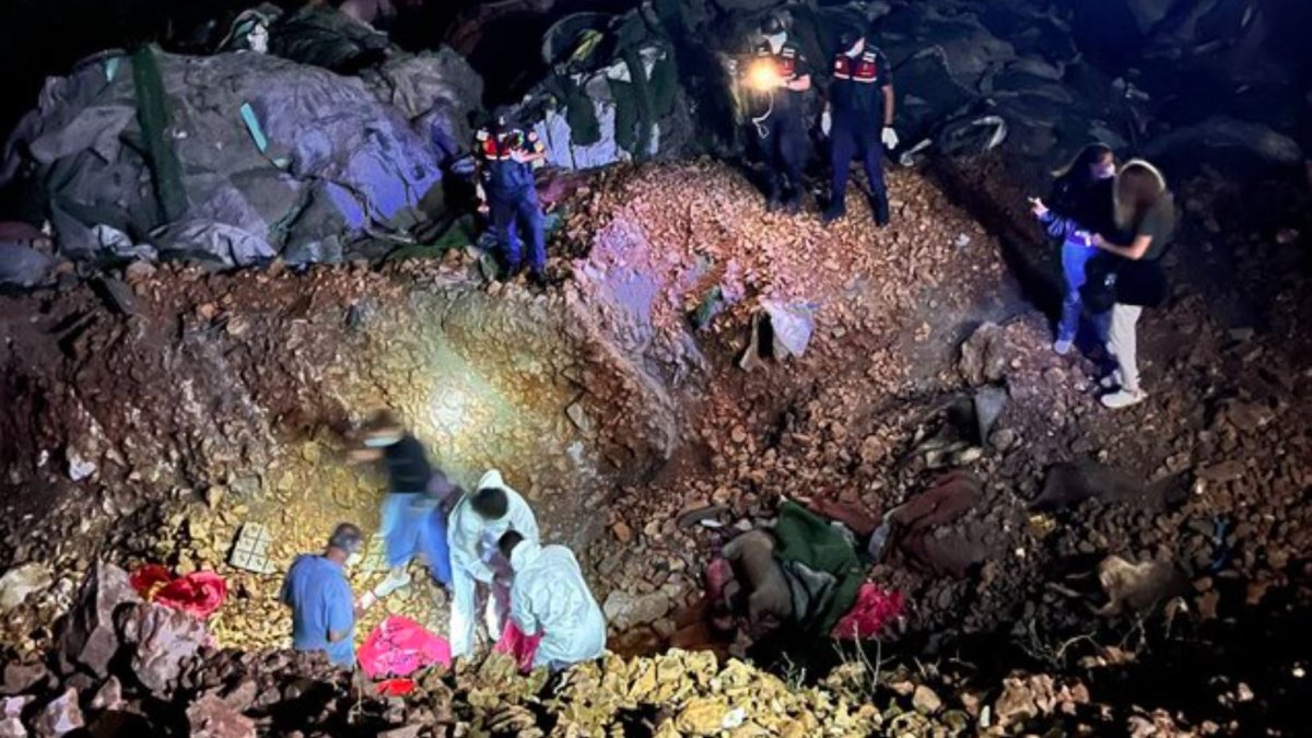 Niğde'den sonra Ankara... Toplu mezarda 11 köpek cesedi bulundu: 6 kişi gözaltında