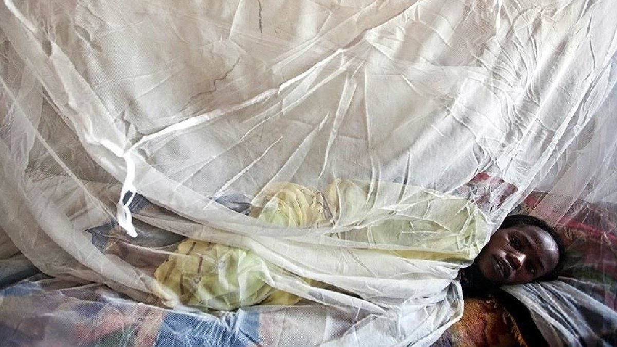 Lassa ateşi Nijerya'yı sardı! 163 ölü