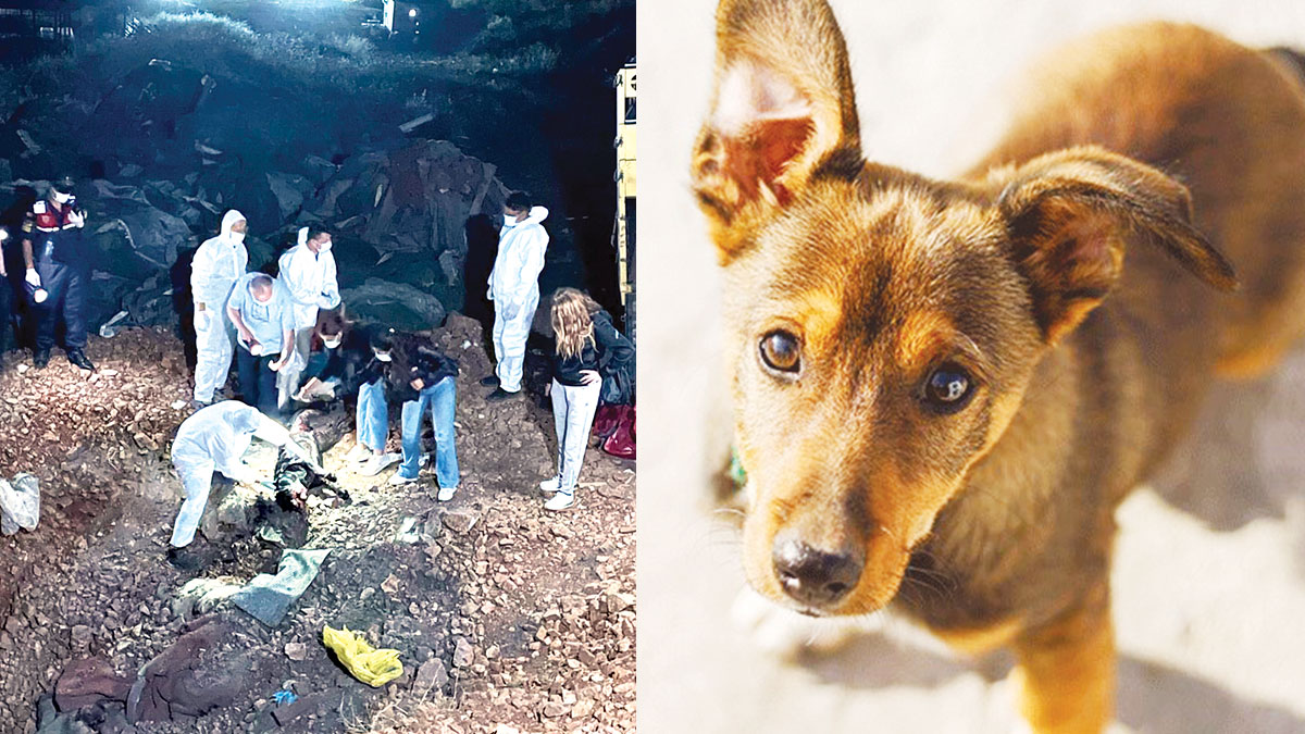 Korkulan oldu: Katliamın adresi bu kez Altındağ