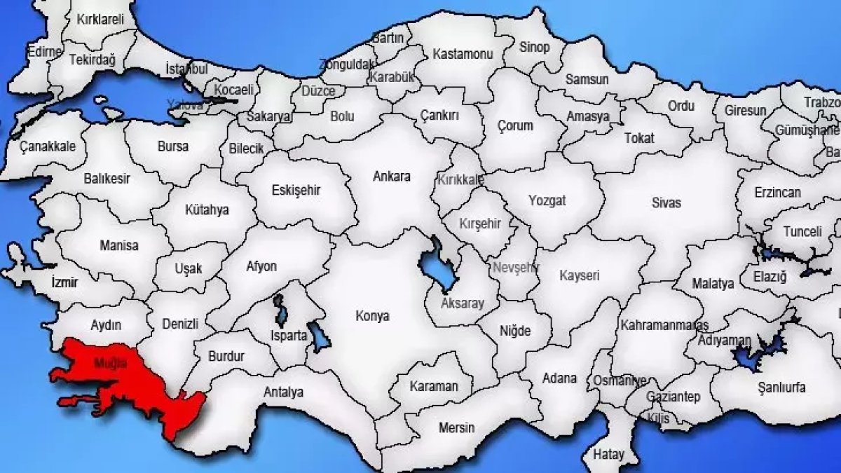 Muğla’nın o ilçesinde korkutan görüntü! İlçenin merkezinde 1 değil, 2 değil! Sürüyle görüldüler