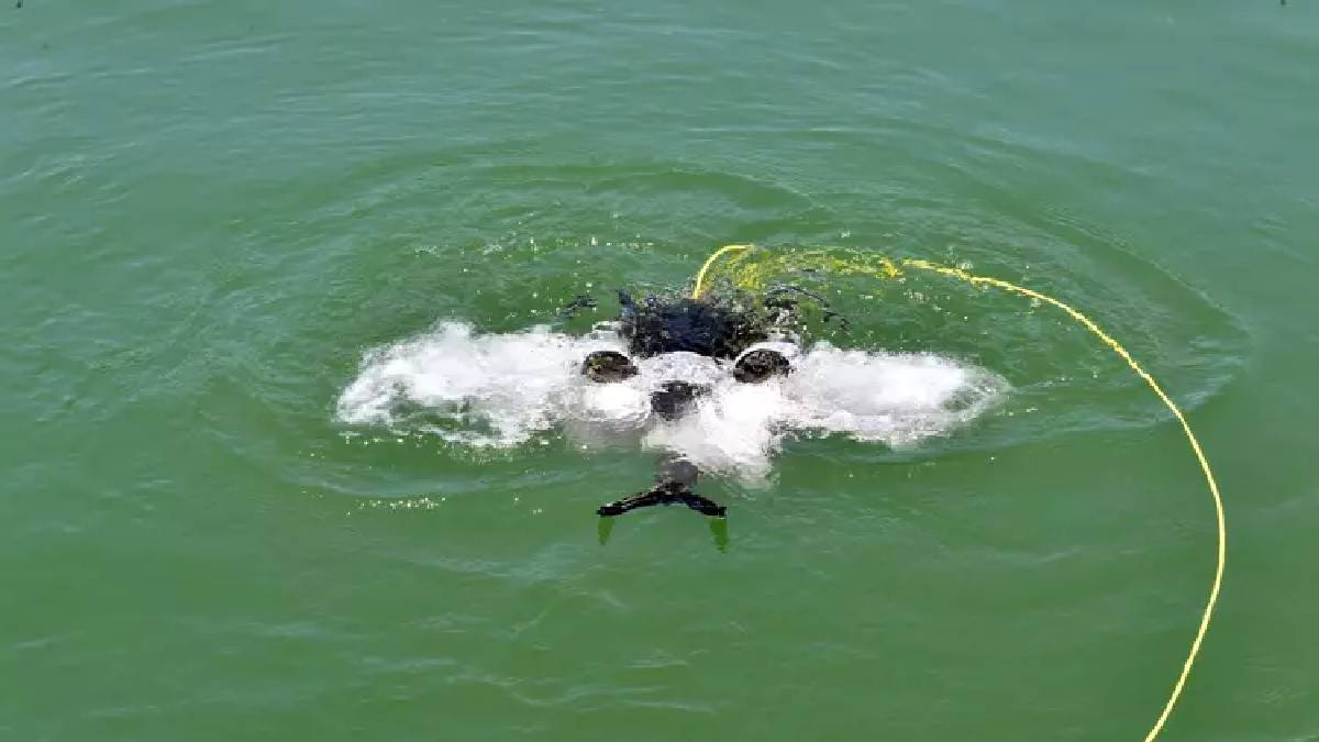 Büyükşehir’in yeni deniz denetim aracı: Su altı dronu