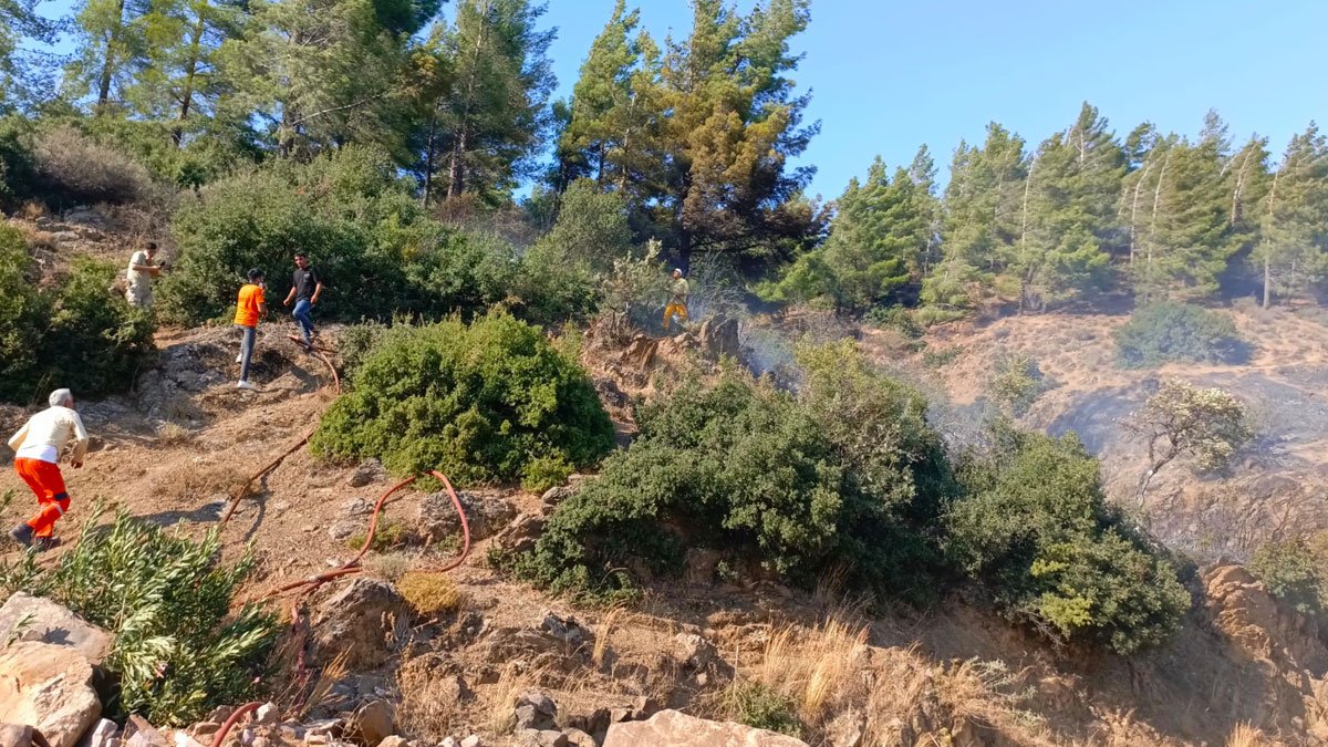 Hatay'da orman yangını