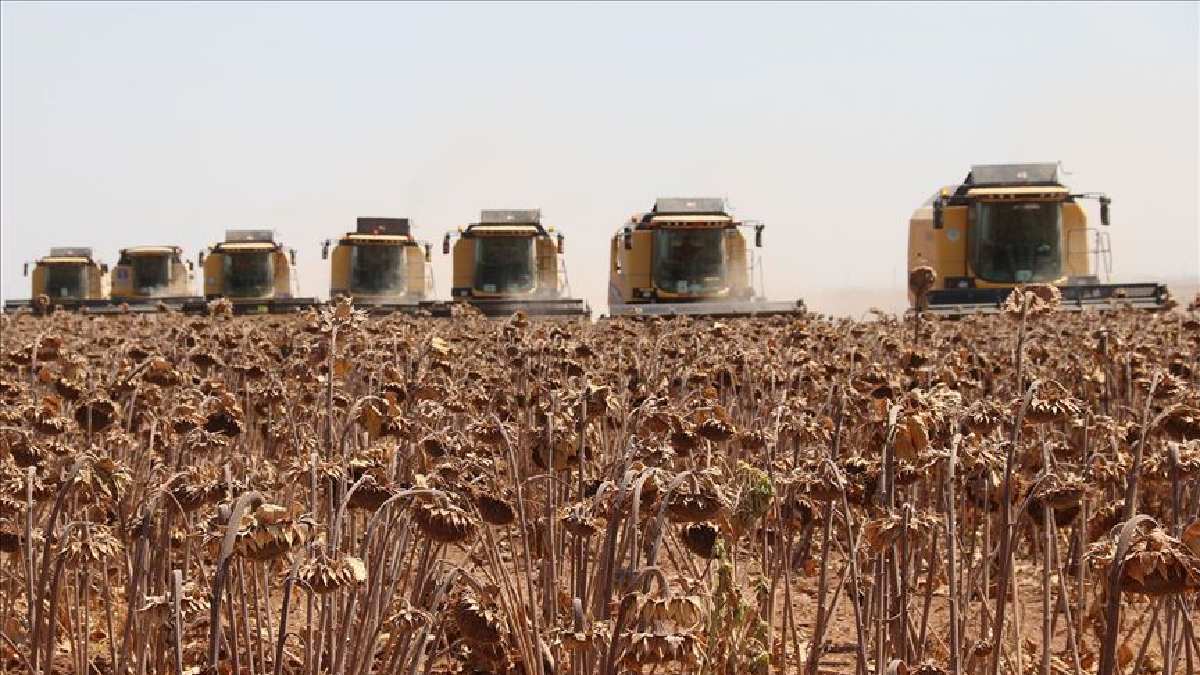 Dedikoduların olmazsa olmazı… Yüzlerce ailenin geçim kapısı! Yurt dışına bile gönderiliyor