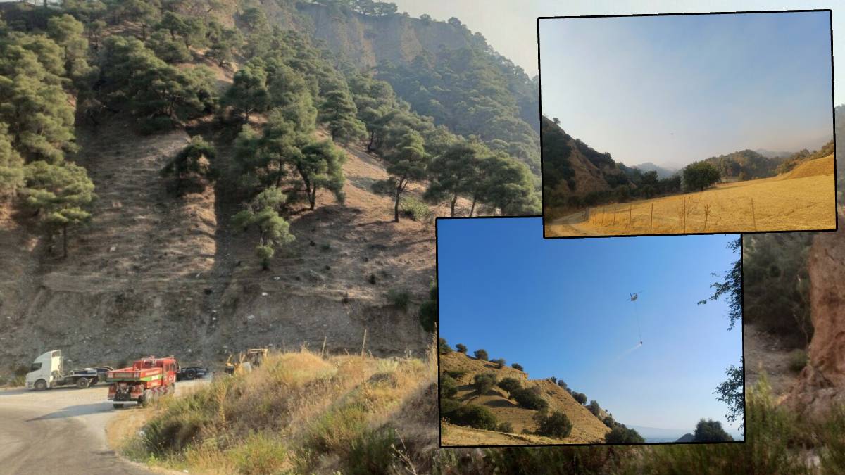 Manisa'daki orman 2 gündür yanıyor