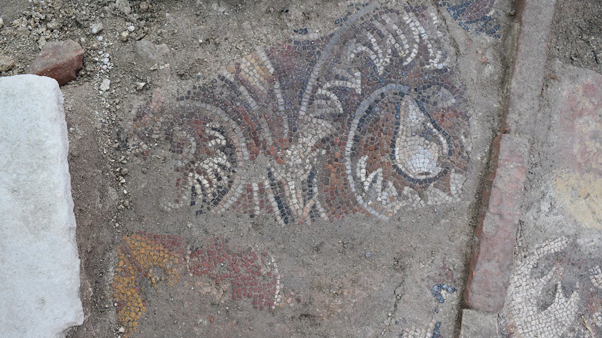 Ordu'da heyecanlandıran keşif! İlk olma özelliği taşıyor