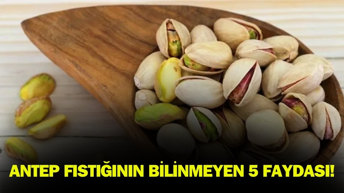 Fiyatını gören kaçıyor ama sağlığa faydaları saymakla bitmiyor: Antep fıstığının daha önce duymadığınız 5 mucizevi faydası