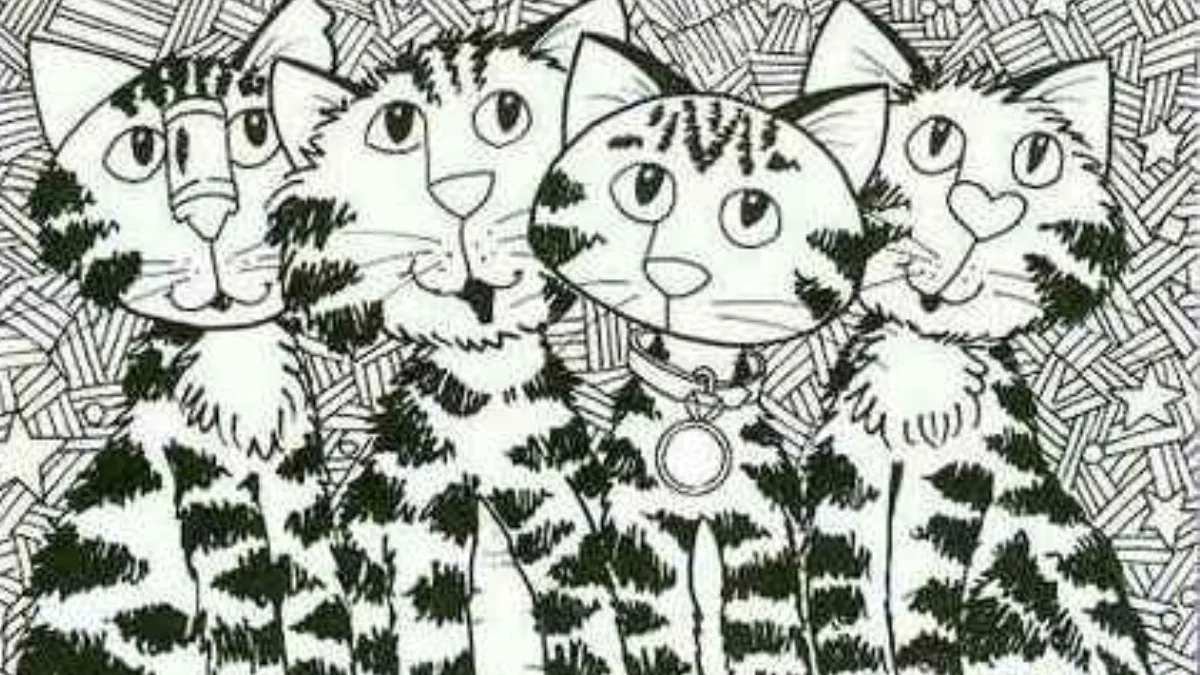 Gözlerinizi dört açın! Bu teste gizli evi bulanların IQ’su 120 çıkıyor! 8 saniyede gizli evi bulun