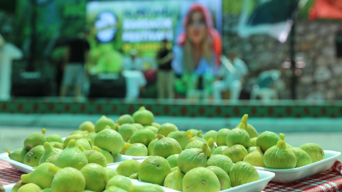 ‘Toprak reformu yapacağız”