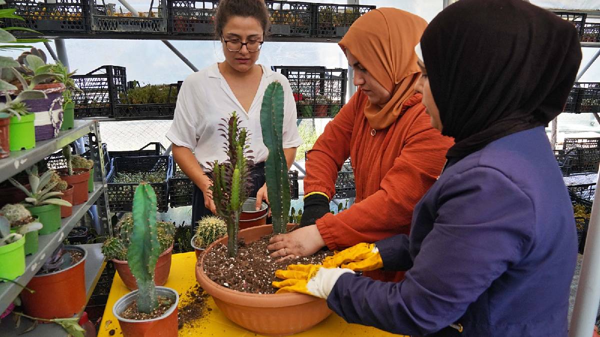 Hem tohumlar hem kadınlar güçleniyor