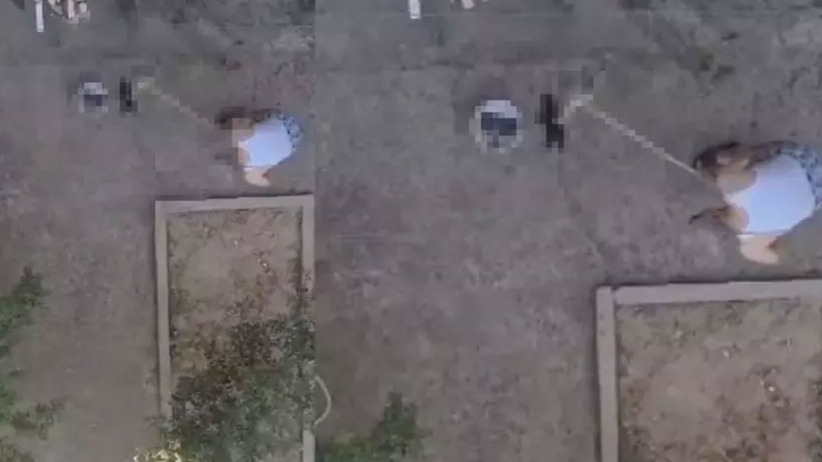 Manisa'da insanlık dışı olay: 3 yavru kediyi fırça sapıyla öldürdü... Mutfağına girdiği için öldürmüş