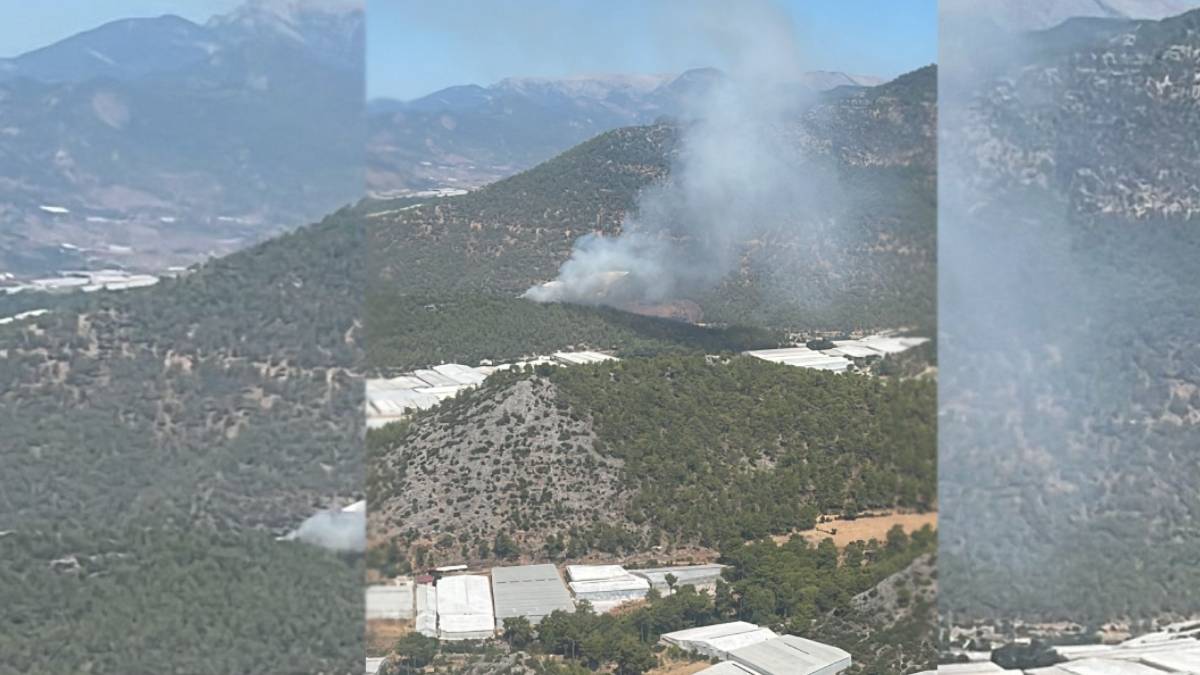 Mersin'de orman yangını: Alevlere müdahale ediliyor